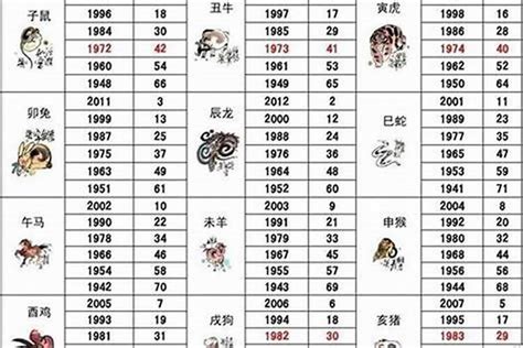 狗出生年份|属狗的年份有哪些 属狗的年份及年龄对照表